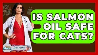 Is Salmon Oil Safe For Cats? - Ask A Pet Vet
