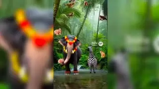 #viralvideo #tropical #elephants#dancing #kerala #malayalam #usa #amazon #funnyvideo #shob Sharma 