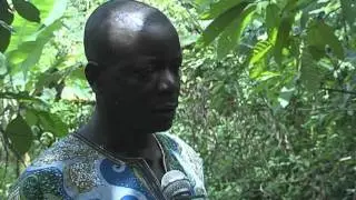 ILLEGAL GOLD MINE IN ILESHA