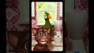 Talking Pierre the Parrot  