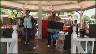 Too Much Stuff Chicago Corporate Entertainment |  Mo' Beat Blues Blues Entertainer
