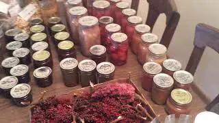 Foraged pantry from 2017