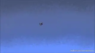 Gespot F16 Straaljager - F16 Jet Fighter fly by From The Dutch Airforce