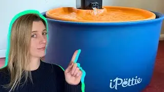 The BEST Ceramic Cat Fountain for FRESH Water