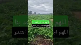 اللهم اهدنا واهد بنا #بدر_المشاري