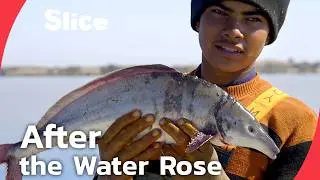 Lake Nasser: Fishermen and displaced Nubians, the two faces of progress in Egypt | SLICE