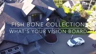 Fish bone collection vision board