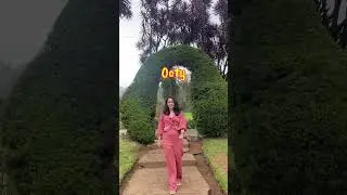 Outfits I Wore On My Recent Trip #ooty #outfitideas #coonoor #kotagiri