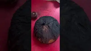Removing Coconut Meat from its Shell 🥥 | Quick Hack #shorts