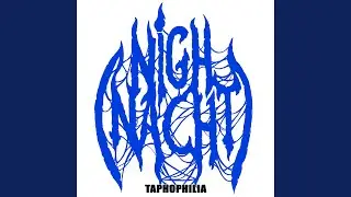 Taphophilia