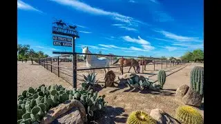 Dally Alley -  Cave Creek, AZ