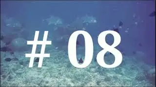 #04 video  whale Top 10 Amazing #factsllब्लू Whale ki उल्टी की कीमत करोड़ों में ll  #shlokyaduvanshi