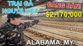 TRẠI GÀ THỊT 3 CHUỒNG ĐANG BÁN VỚI GIÁ $2,170,000 DÀNH CHO NGƯỜI VIỆT Ở BANG ALABAMA, MỸ