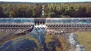 Wallace lake Dam