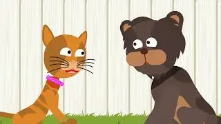 New pet buyers - know your rights
