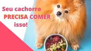 Alimenta&ccedil;&atilde;o Natural para cachorros!