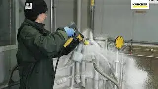 How To Clean A Pig Farm