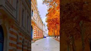🔥Visit Toulouse: City Center Street (Rue de Metz)