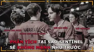 Ph&acirc;n T&iacute;ch Liệu Sentinel C&oacute; Thể Quay Trở Lại Form Như Trước Hay Kh&ocirc;ng