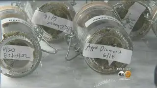 As Dispensaries Try Meet July 1 Regulation Deadline, Cheap Weed Now Could Mean Shortage Later