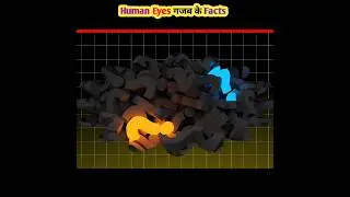 Fascinating Facts About Human Eyes #shorts @The_Fact