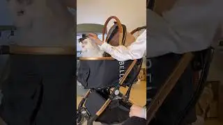 Luxury Detachable Cat Carrier Stroller💤💕
