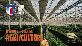 AGRI/CULTURE - SOLAIRE (with Jean-Marc Sanchez from Les Plantations d'Acapella)