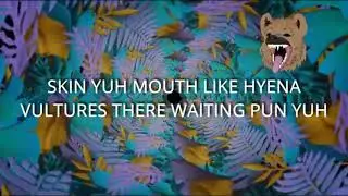 De Tiger - Hashim Stylez (lyric video crop over tibial)