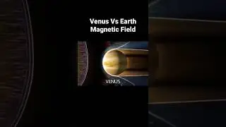 Venus vs. Earth: Magnetic Fields against Solar Radiation