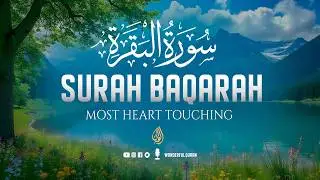 Surah Al-Baqarah Full (سورة البقرة) | Ultimate Tranquil & Majestic Quran Recitation #quranrecitation