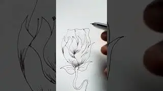 From a Blank page to a Beautiful Rose 🌹/Full Drawing process #Rose Drawing#Pen Art #Realistic dr