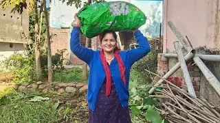 बगीचे की अरबी 
