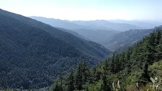 Travel after Lockdown : Green Valley | Shimla Trip