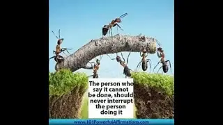 Top Team work Motivational quotes