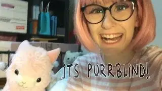 Purrblind live photoshoot!!