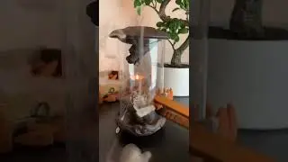 Backflow Incense Burner, Dragon Backflow Incense Burner Red Porcelain Creative LED Light Windshield