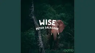 WISE