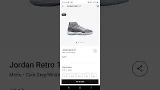 online shopping: Jordan 11 Cool Grey can't check out Footlocker.ca - Dec 23 2021