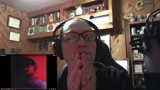 KING BLITZ REACTION- NORMALIZED
