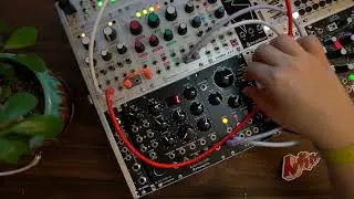 Erica Synths Black Stereo Delay    A Hifi Journey Sound Demo