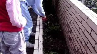 Cleaning the Lin's Mouselum.