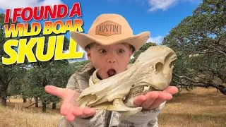 I Found A Wild Boar Skull at Morgan Territory Regional Preserve | Austin Ca$h