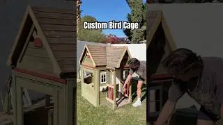 Let&rsquo;s build a bird cage #birds #diy