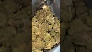 &ldquo;JELLY DOUGHNUT&rdquo; LIT FARMS ESSENTIAL THCA #thcareview