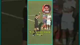 TAPIA DEFENDI&Oacute; AL ARBITRAJE Y CLOSS ADVIRTI&Oacute; A RAPALLINI