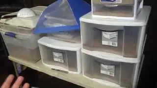 Mealworm meat farm factory harvest