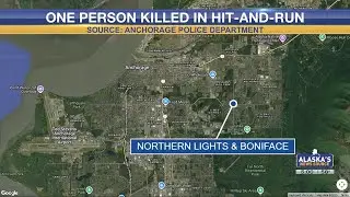 One person killed in Anchorage hit-and-run