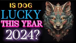 IS DOG ARE LUCKY THIS YEAR 2024 PREDICTIONS? #astrology #zodiacsigns #2024 #horoscope