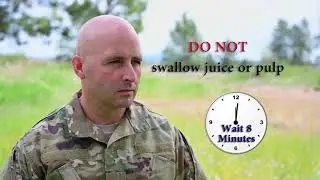 Edibility Test Part 4 (2019) 🇺🇸