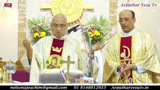 🔴LIVE 2025 Flag Hoisting & Mass | Sagaya Madha Church, Nammalwarpet | 25th Annual Feast 24/06/2025